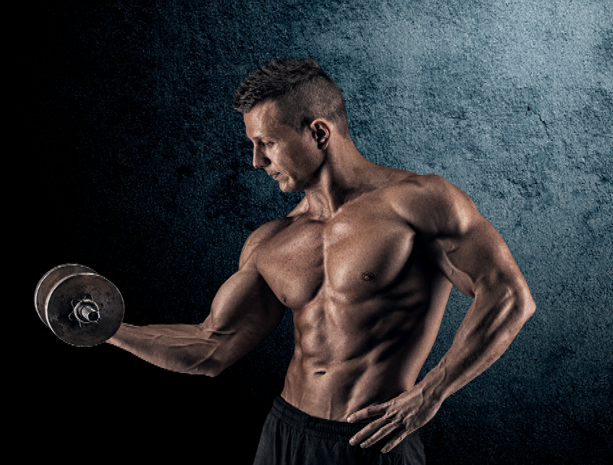 fitness gym lebanon